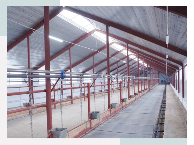 Строительство коровников в Кимрах от 626 руб.