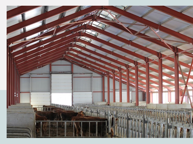 Строительство коровников в Кимрах