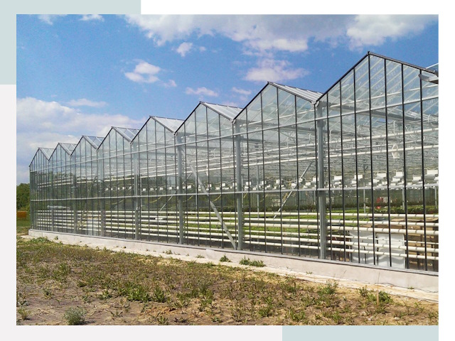 Строительство теплиц в Кимры от 626 руб. за м²